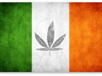Ирландия: Легализация марихуаны - еще на шаг ближе