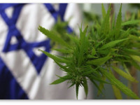 Израиль: Крупнейшая в стране аптечная сеть хочет продавать медицинскую марихуану