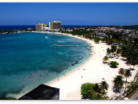 Ямайка: Лоббисты призывают декриминализовать марихуану и создать программу медицинской марихуаны