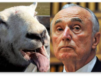 Почему в слова шефа полиции Нью-Йорка мы верим так же мало, как в обдолбанных валлийских овец?