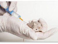 Видео: Все, что мы знали о наркозависимости, оказалось ложью