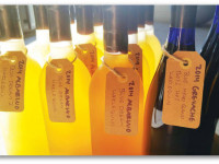 Калифорния: Вино с марихуаной - будущее винодельческой промышленности?