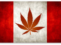 Власти Канады объявили, где можно будет свободно приобрести марихуану для курения