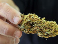 Чили: Открываются аптеки по продаже медицинской конопли