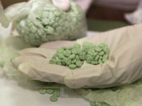 Нидерланды: Полиция обнаружила склад синтетических наркотиков