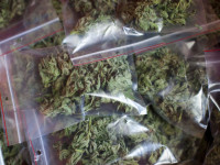 Израиль: Tikun Olam теперь будет выращивать траву и в США