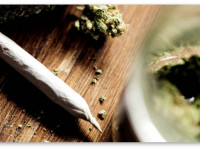 Колорадо рассматривает открытие конопляных клубов в 2016 году