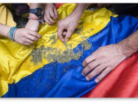 Колумбия: Конопля начинает вытеснять кокаиновый куст на нелегальных плантациях