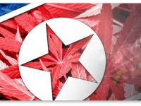 Ситуация с коноплей в Северной Корее