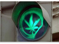 Конопле в Женеве – зеленый свет?