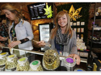 В Денвере налоги с марихуаны идут на дороги и школы: А у нас так получится?