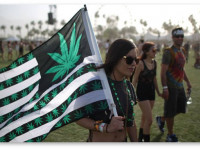 США: Почему лигалайз на пути к победе, если употребляют только 13% взрослых?