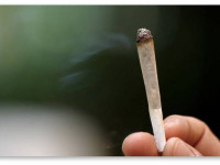 Налоговые поступления от розничных продаж марихуаны превзошли ожидания