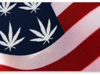 США: Какие штаты будут голосовать за реформы марихуановой политики в ноябре 2016 года?