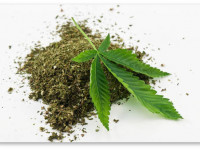 Легализация медицинской марихуаны во Флориде откладывается до 2016 года. И другие заголовки