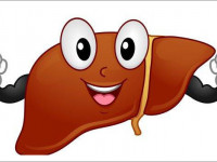 Ученые: Курение травы защищает печень от вреда алкоголя