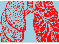 Эффективность марихуаны высоко оценивается раковыми больными