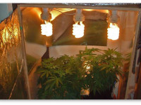 Коротко о майларе (светоотражающем материале для гроубокса)