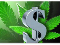 Колорадо, США: В 2015 году налоговые поступления от продажи марихуаны вырастут вдвое