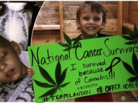 Медицинская конопля убивает раковые опухоли