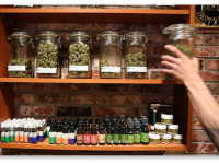 Орегон: Мэр Портленда планирует открыть в городе "Зелёный" квартал