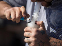 Загадочная новая болезнь планокуров: Откуда она взялась?