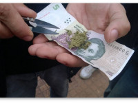 Аргентина: Прощай, конопля