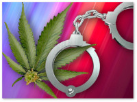 Если легализация конопли и увеличивает преступность, то пока у нее это плохо получается