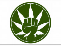 США: Историческое решение Конгресса по медицинской и промышленной марихуане