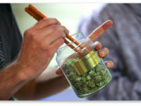 5 главных полезных свойств конопли при ВИЧ/СПИДе