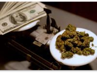 Продажи легальной марихуаны в Колорадо упали. Это временное явление или тренд?
