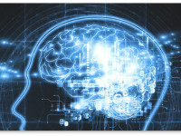 Марихуана, фаза быстрого сна и сновидения