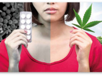 Исследование: Вещество конопли может снижать риск рецидива у наркозависимых