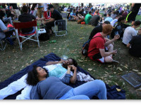 Массачусетс: Инициаторы референдума по легализации марихуаны провели 2-дневный фестиваль в Бостоне