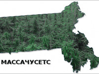 Массачусетс: Законодатели отложили старт розничных продаж марихуаны на полгода