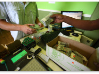 Последние исследования конопли, о которых вам не расскажут СМИ