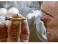 Германия: Историческое решение суда - пациент получил право выращивать медицинскую марихуану