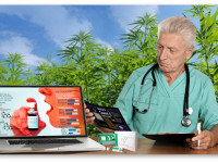 Медицинская марихуана. Краткий обзор для врачей и пациентов