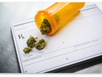 США: Законы о медицинской марихуане снижают число смертей водителей, находящихся под воздействием опиодиов