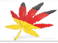 Германия: Сделан важный шаг на пути создания индустрии медицинской марихуаны