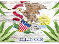 Иллинойс: Медицинская марихуана поддерживается подавляющим большинством, но законодатели  ограничивают ее использование