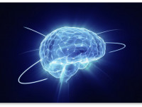 Как марихуана влияет на нашу память?