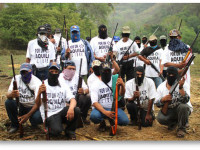 Легализация вооруженных народных патрулей в Мексике - рискованный план