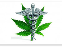 Уведомление о марше за легализацию медицинского применения марихуаны подано в мэрию Москвы