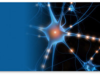 Исследование: Марихуана может лечить нейродегенерацию