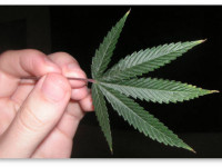 Конгресс США отказал ветеранам в праве лечиться медицинской марихуаной. И другие заголовки