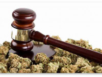 Огайо: Верховный суд запретил адвокатам консультировать предприятия медицинской марихуаны