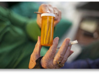 Растет поддержка легализации конопли среди пожилых людей