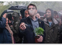 Легализации каннабиса будет обсуждаться в парламенте Великобритании