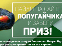 Самый Интересный Конкурс в СНГ от Боб Марли